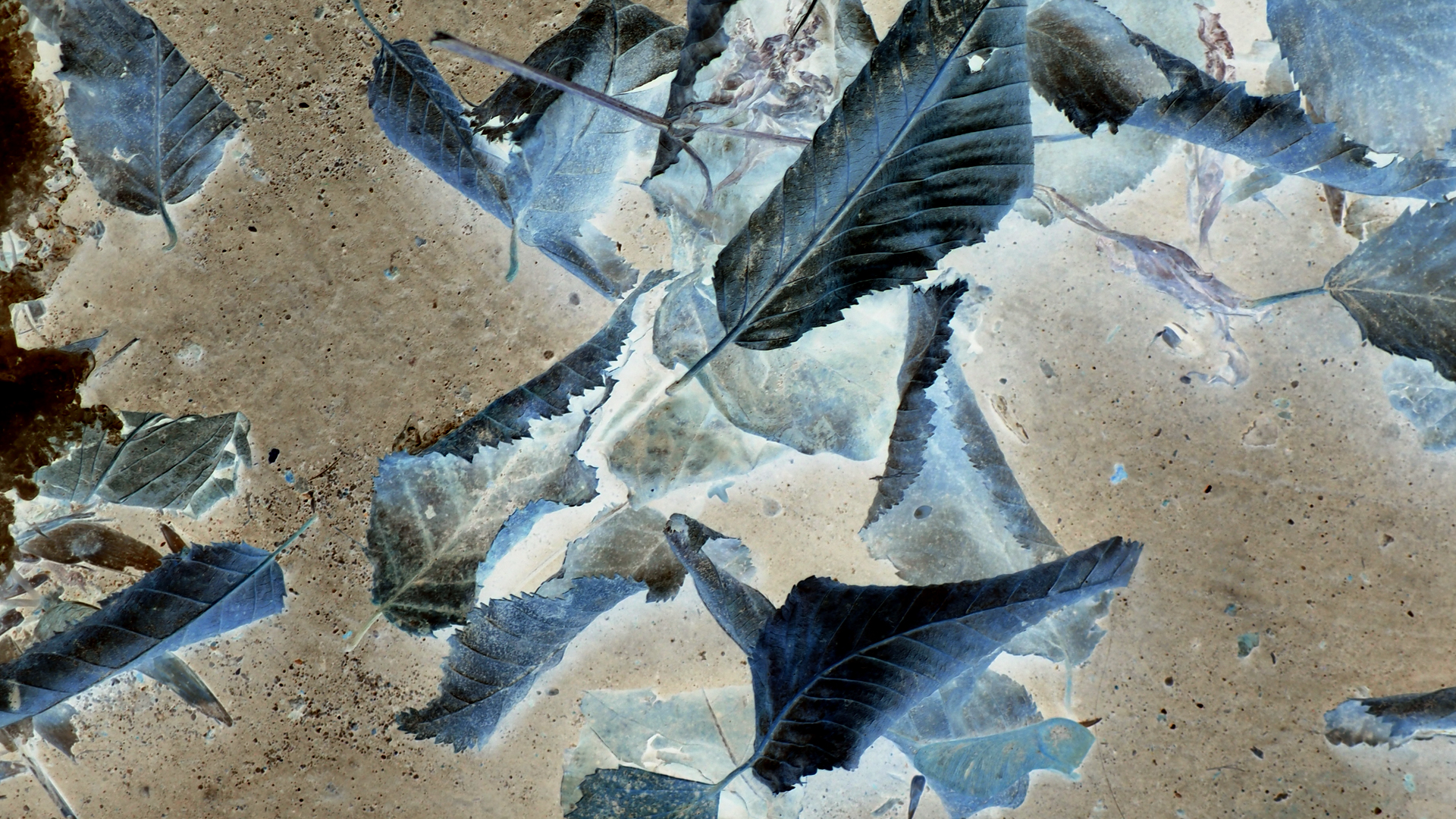 2021-01-30 Wasser in der Spüle II (Remix John Cage 'Sonatas & Interludes', On-Off) (Komposition, Remix, Recording, Foto)